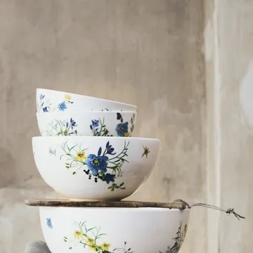 Brillance Fleurs des Alpes 碗 22cm - 多色 - Rosenthal