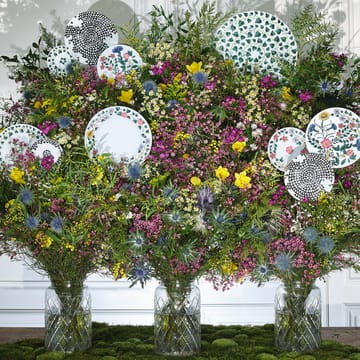 Magic Garden Foliage 盘子 21 cm - 白色-绿色 - Rosenthal