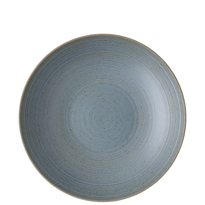 Thomas深盘28cm陶瓷餐盘 - 自然水色 - Rosenthal