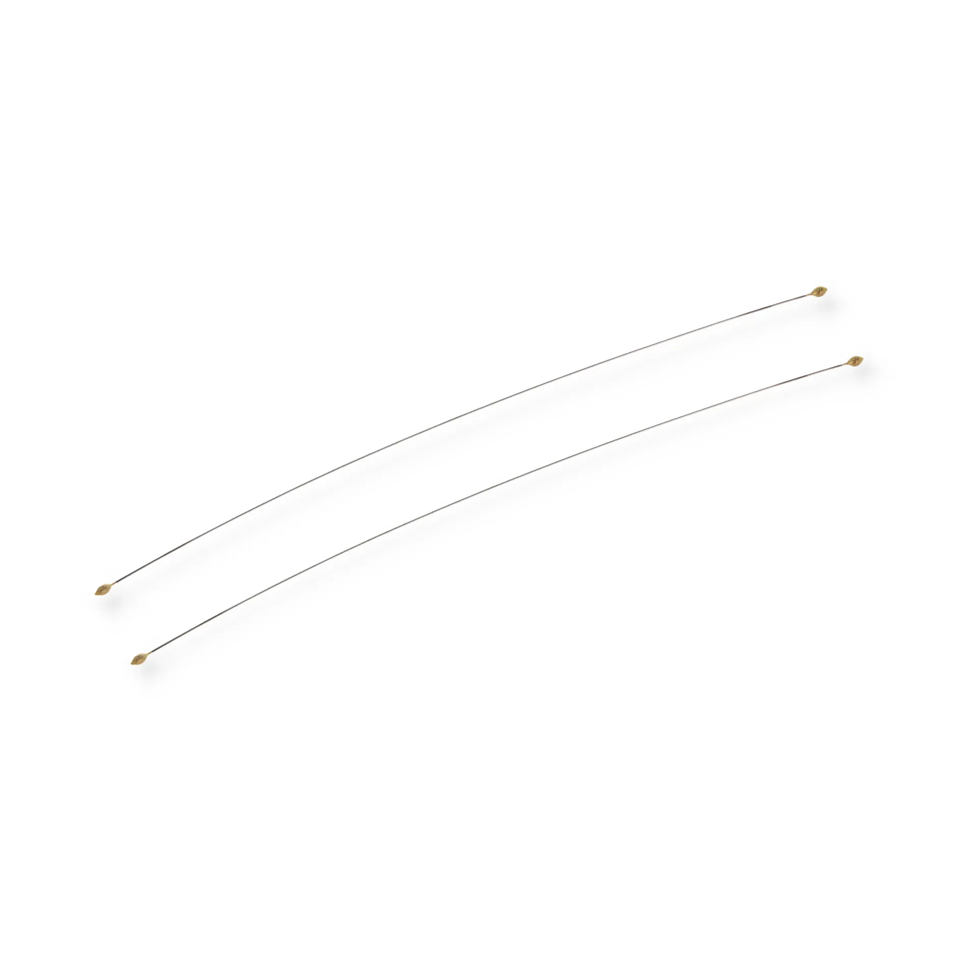 Cheese Strings for Classic Cheese Box 2 pcs, 不锈钢 Rosti