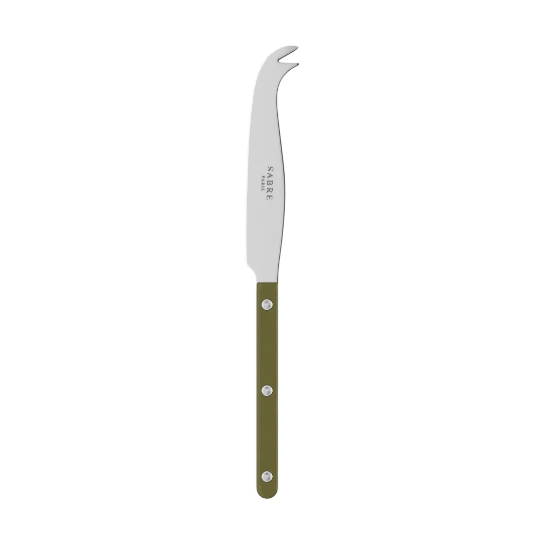 Bistrot Solid 芝士刀24cm, 蕨类绿色 SABRE Paris