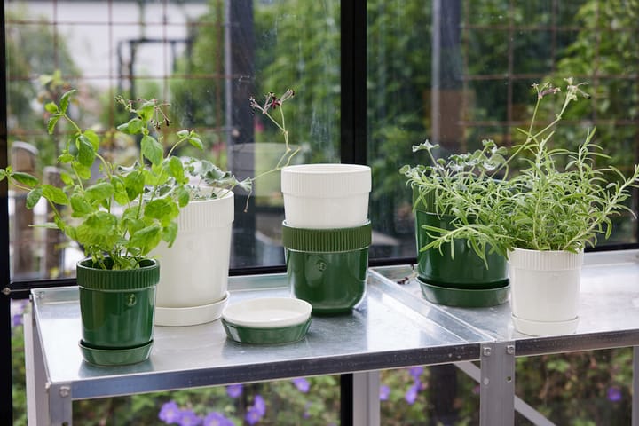 Elise herb pot Ø11 cm, 绿色 Sagaform