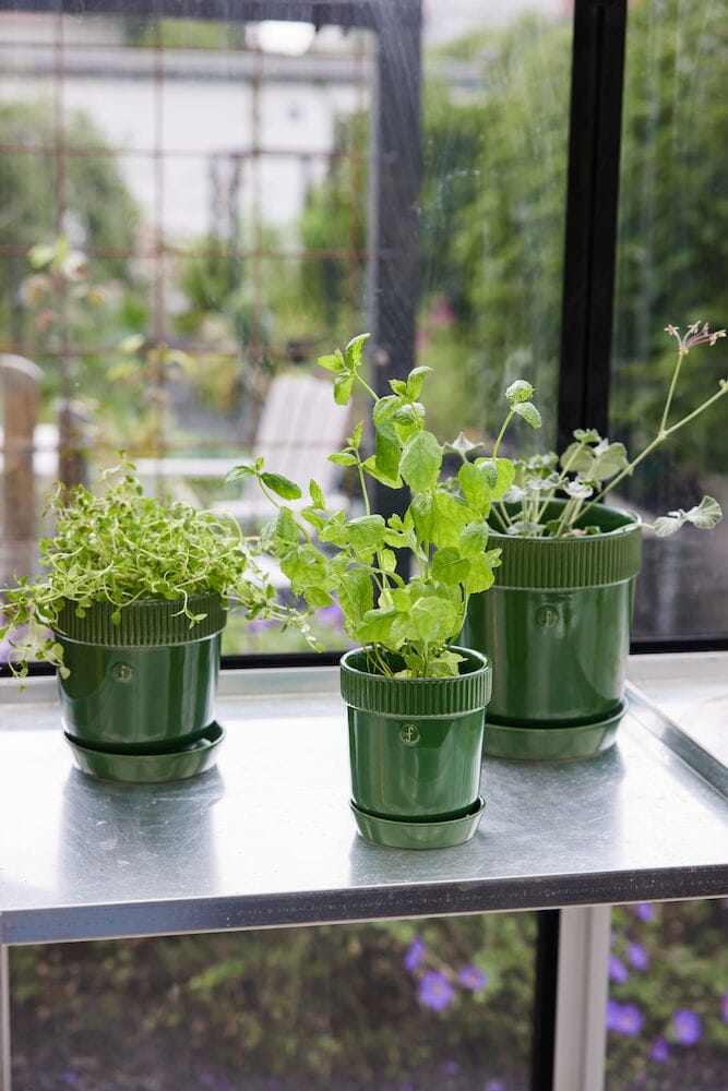 Elise herb pot Ø11 cm, 绿色 Sagaform