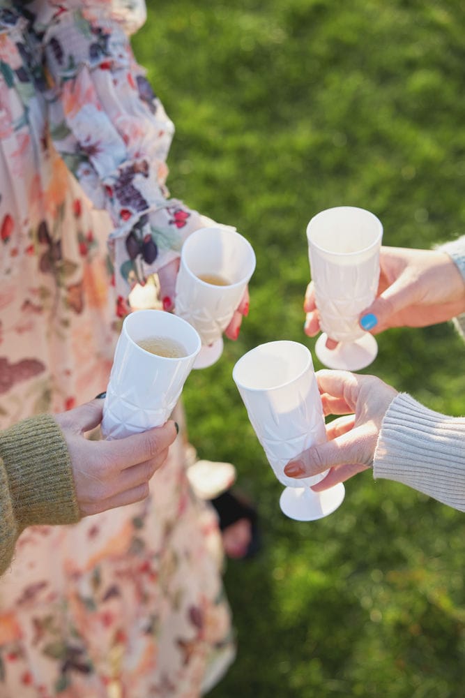 Picnic 香槟杯 四件套装, 白色 Sagaform
