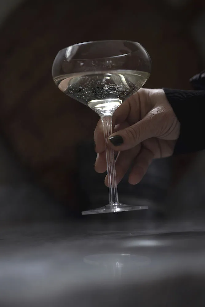 Saga 鸡尾酒杯2件装, 透明 Sagaform