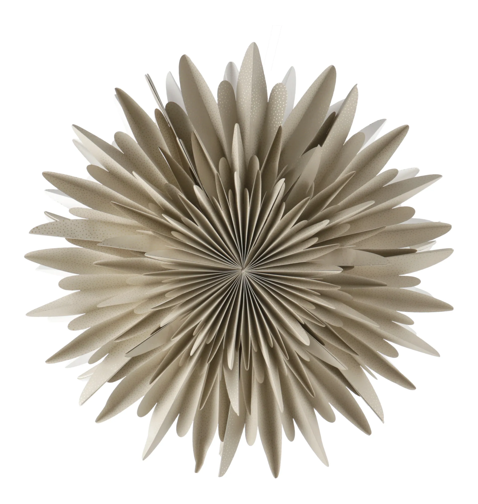 露娜降临星 米色底色 斑点装饰 , 60cm Scandi Living
