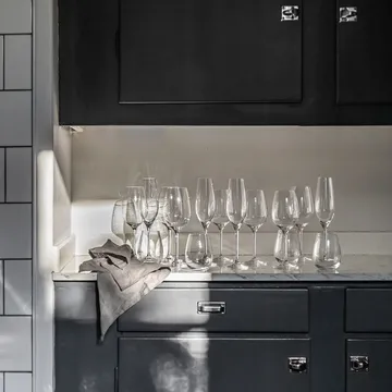 Karlevi 香槟杯 四件套装 - 210ml - Scandi Living