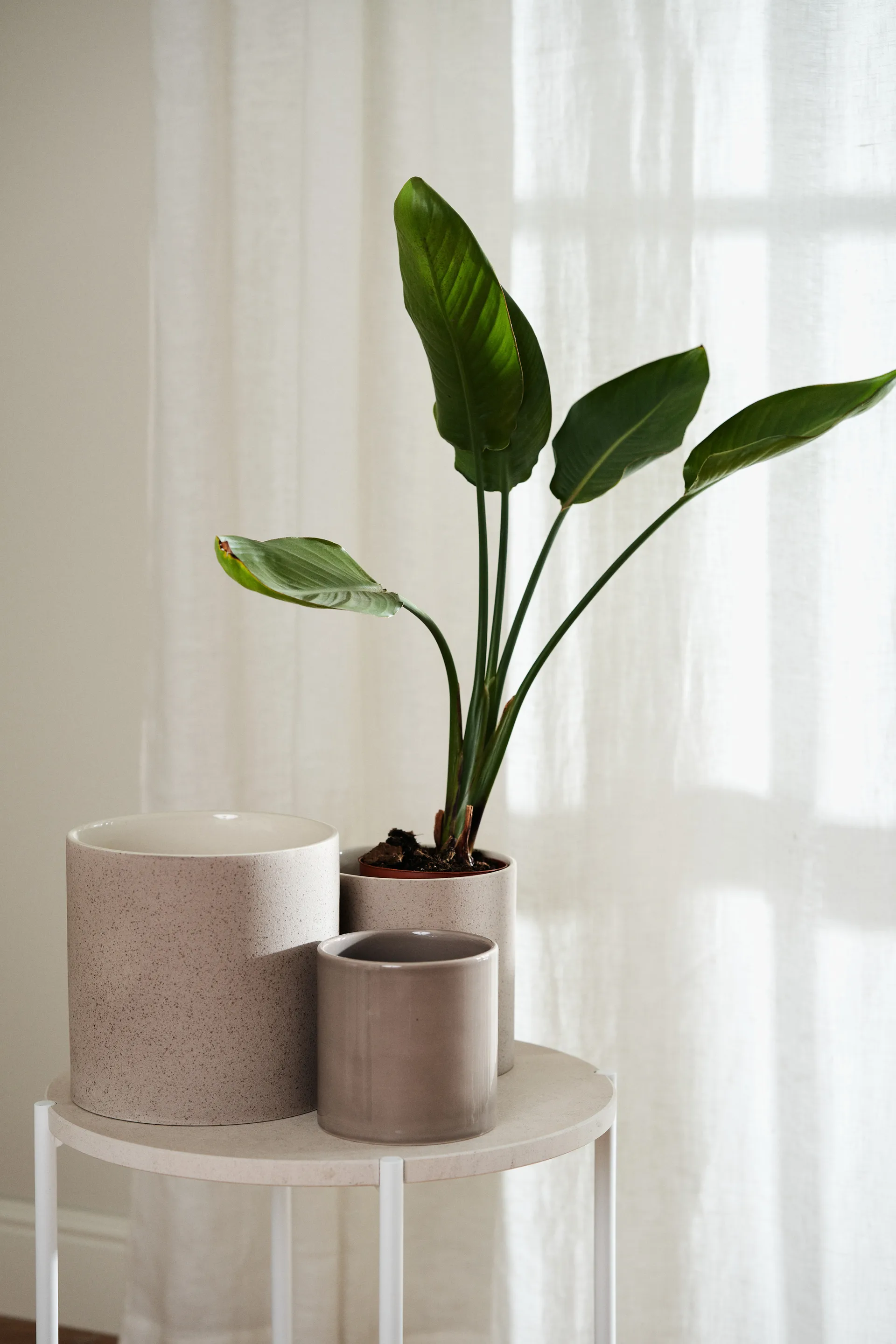 Sleek 花盆 Ø12 cm, 米色 Scandi Living