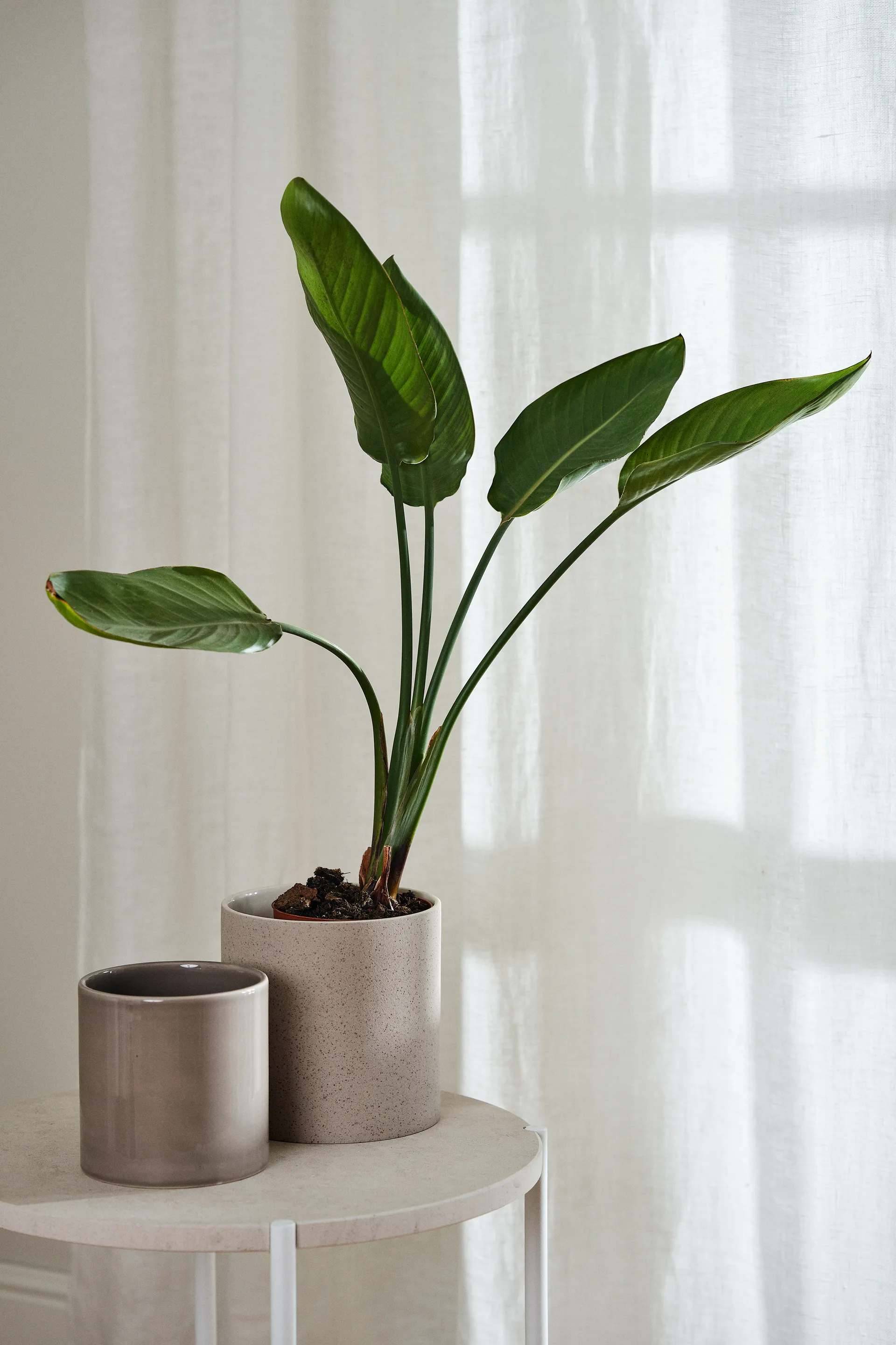 Tranquility curtain with multiband 139x250 cm, 白色 Scandi Living