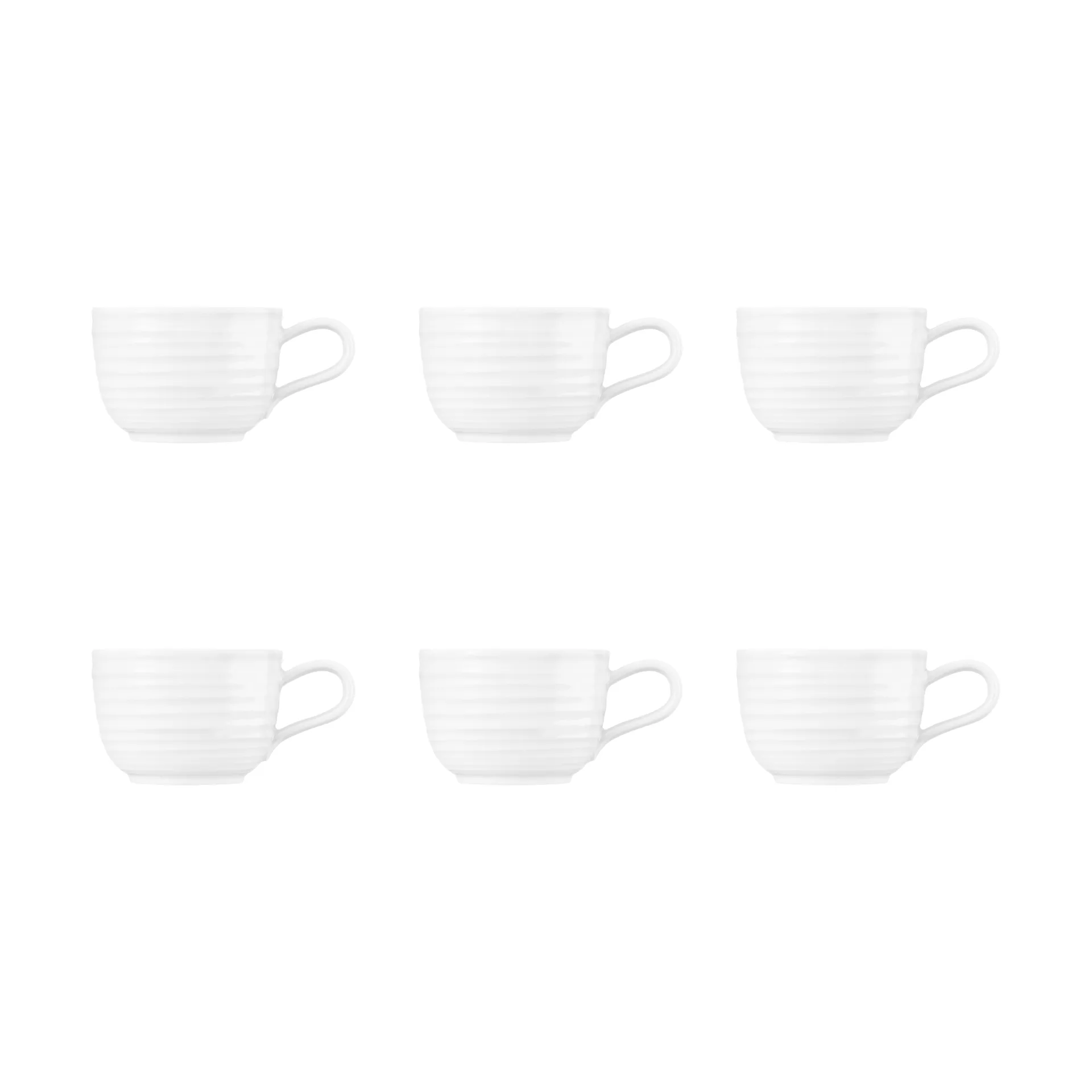 Terra 杯子 200ml 6只装, 白色 Seltmann Weiden