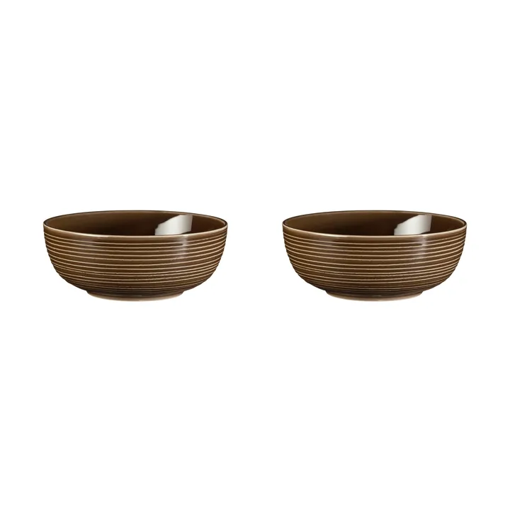 Terra 碗 Ø20.4cm 2只装 - 大地棕 - Seltmann Weiden
