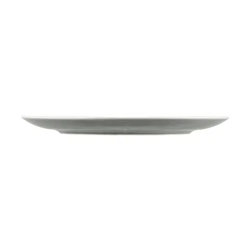 Terra 盘 Ø22.7cm 6只装 - 珍珠灰 - Seltmann Weiden