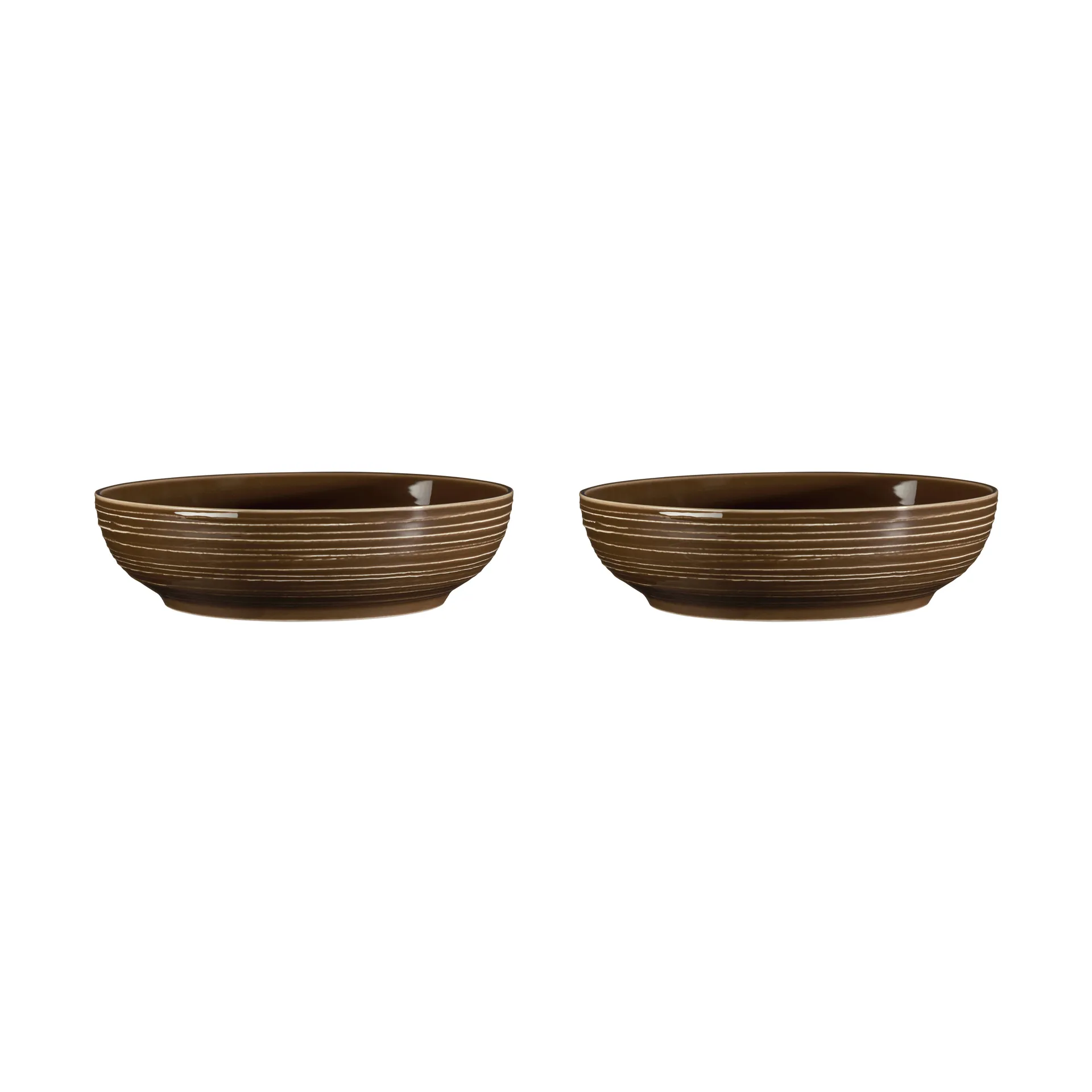 Terra 碗 Ø25.5cm 2只装, 大地棕 Seltmann Weiden