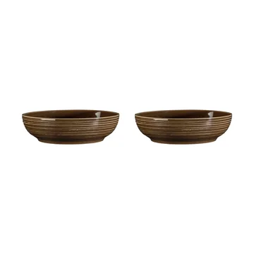 Terra 碗 Ø25.5cm 2只装 - 大地棕 - Seltmann Weiden