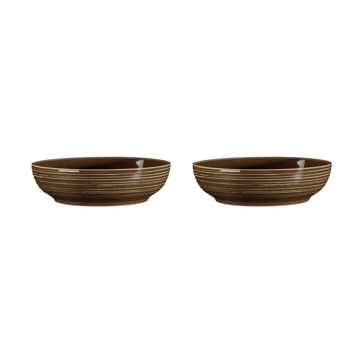 Terra 碗 Ø25.5cm 2只装 - 大地棕 - Seltmann Weiden