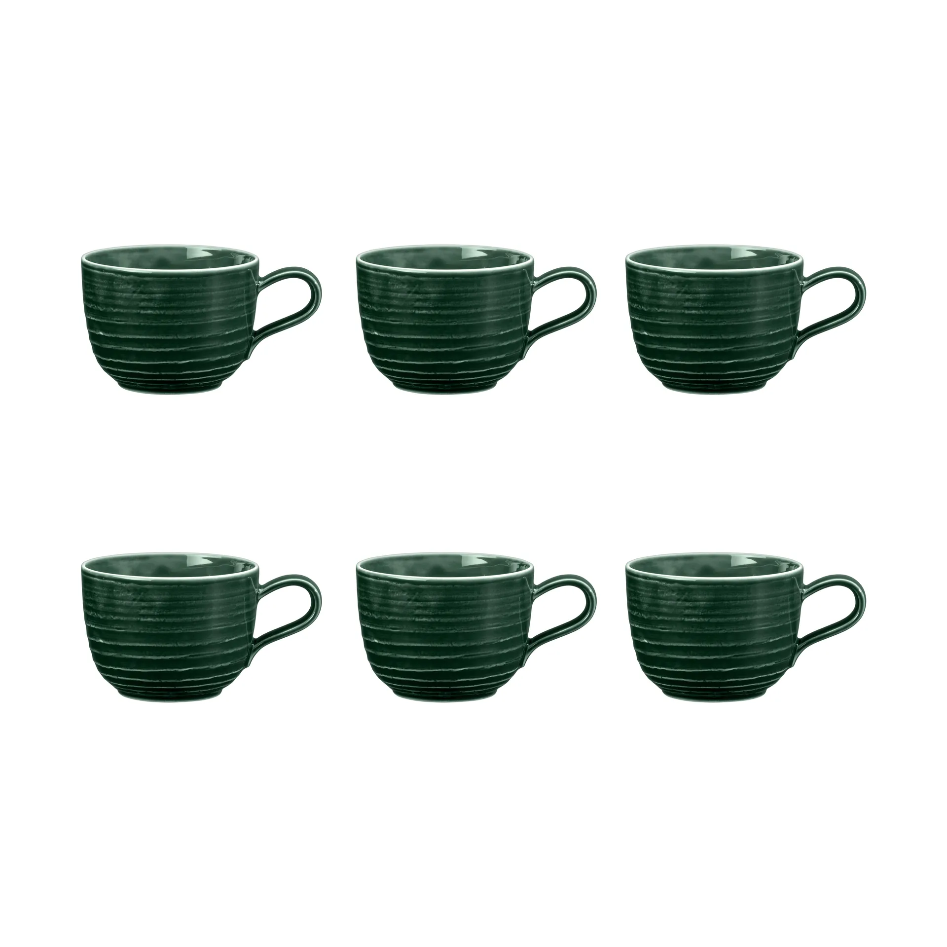 Terra 杯子 260ml 6只装, 苔藓绿 Seltmann Weiden
