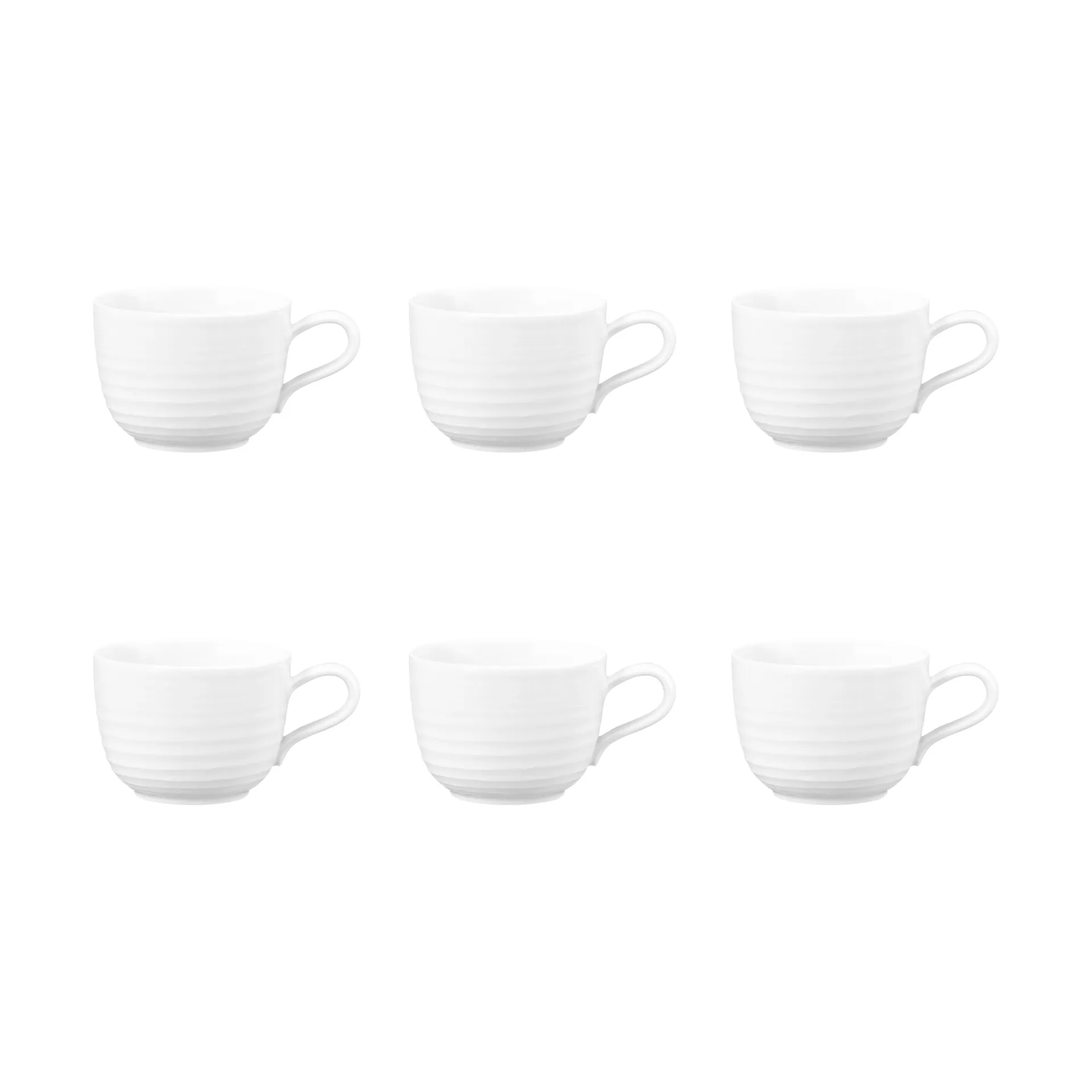 Terra 杯子 260ml 6只装, 白色 Seltmann Weiden