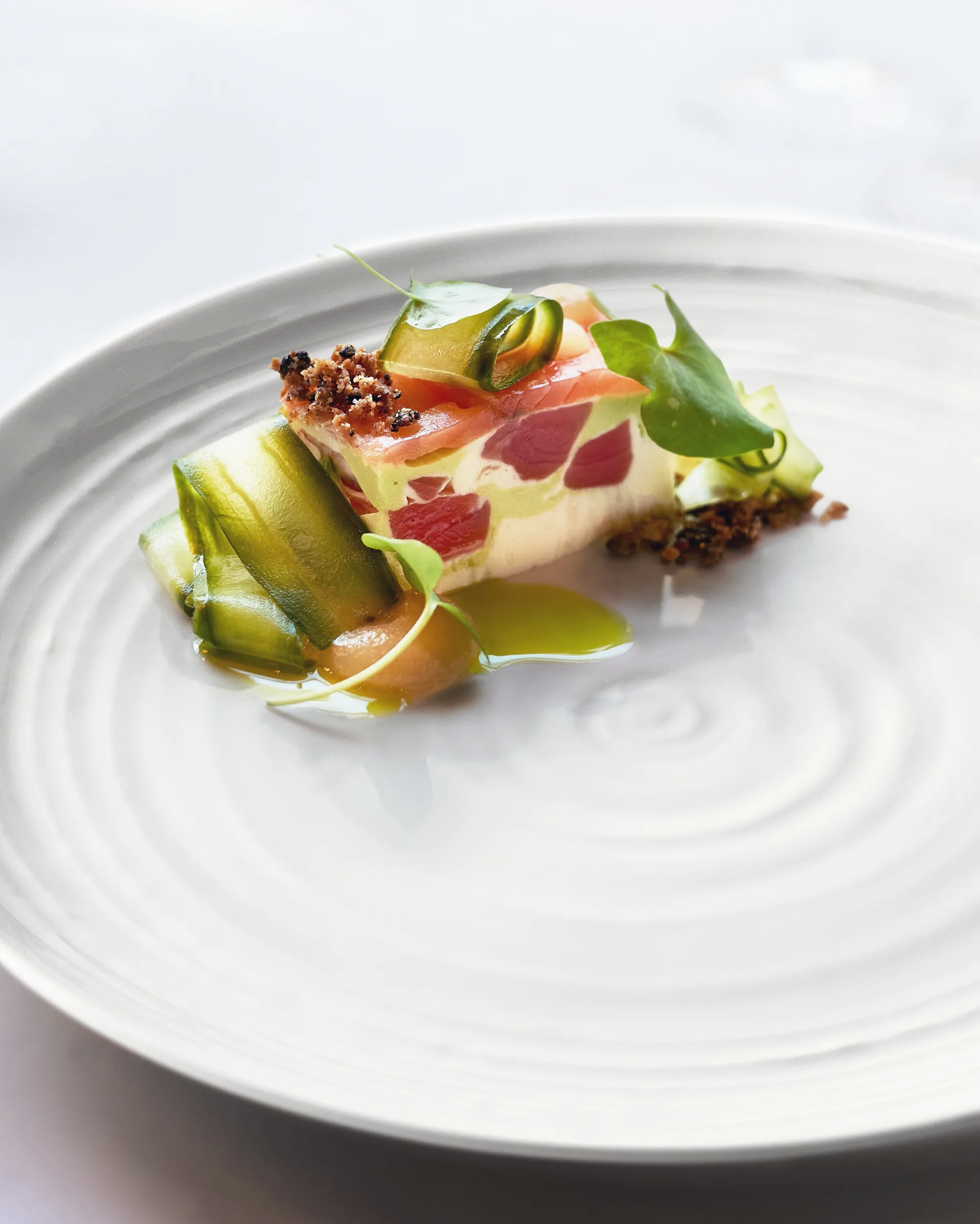 Terra 盘子 Ø27.8 cm 六件套装, White Seltmann Weiden