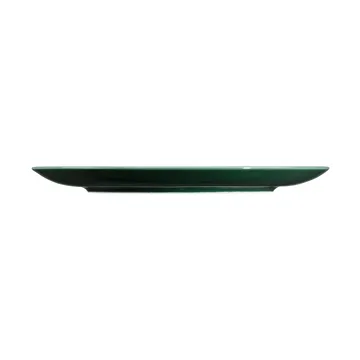 Terra 盘 Ø27.8cm 6只装 - 苔藓绿 - Seltmann Weiden