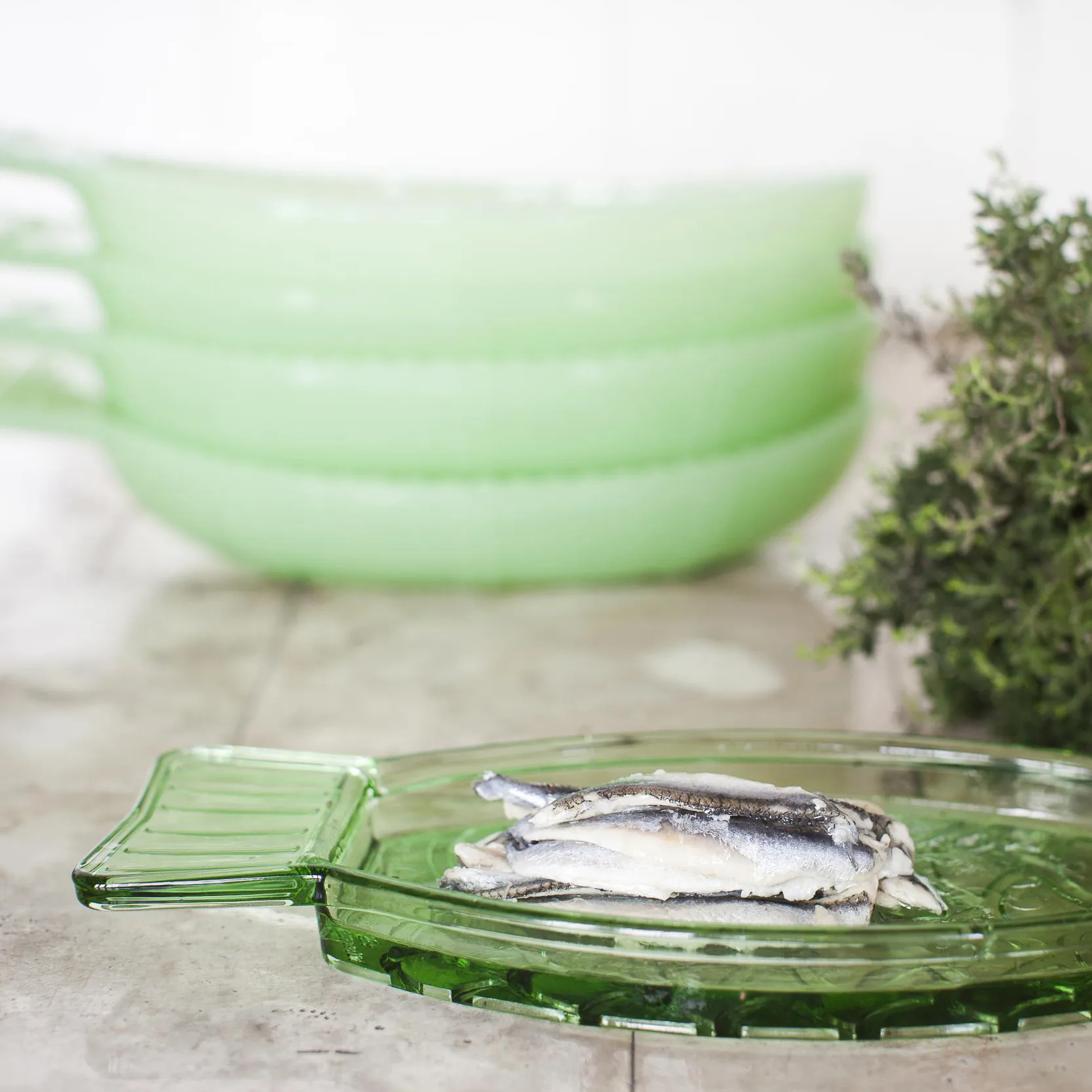 Fish & Fish 盘子 10x23 cm, 绿色 Serax