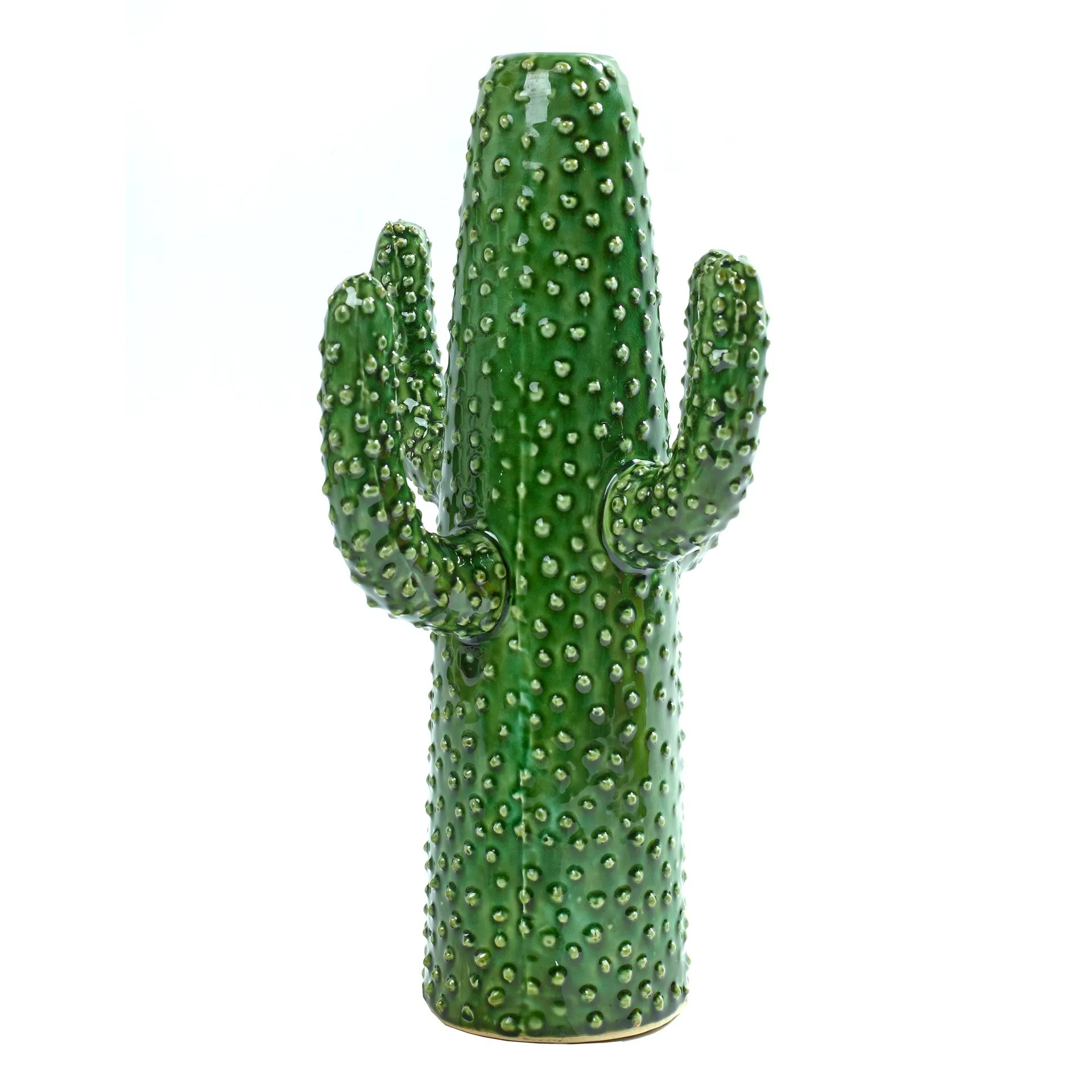 Serax cactus  花瓶 , large Serax