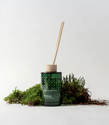 Skog 香薰藤条 - 200ml - Skandinavisk