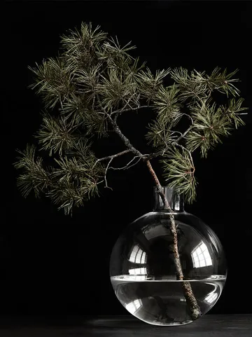 Pallo 花瓶 - 透明色_31cm - Skrufs Glasbruk