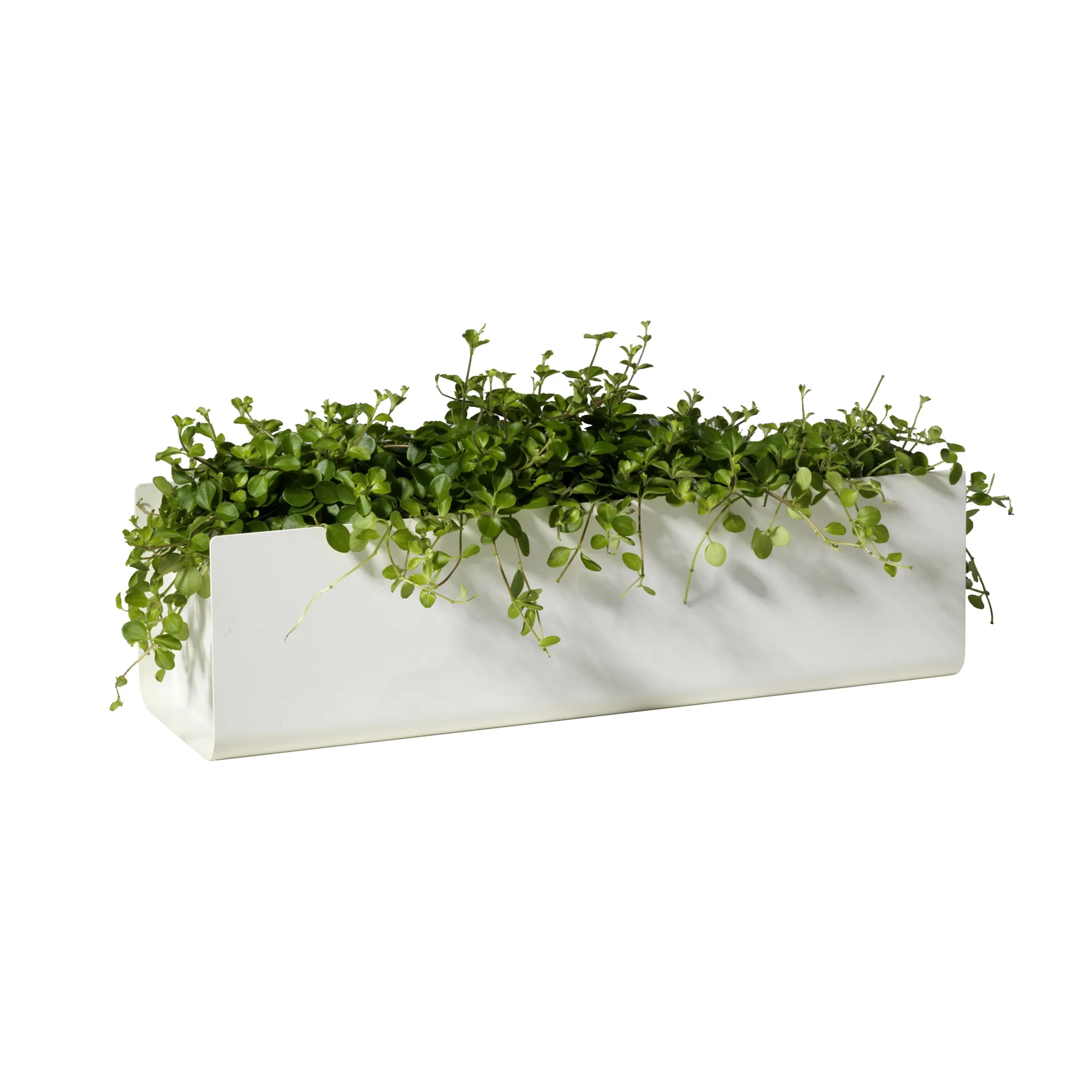 Jorda window box, 白色 60 cm SMD Design