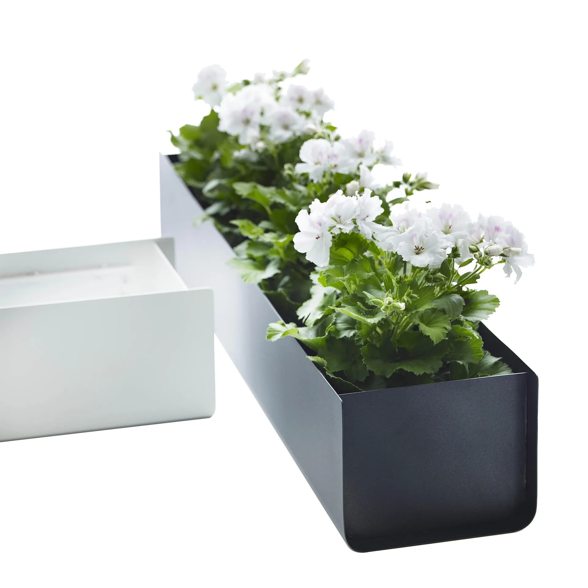 Jorda window box, 白色 60 cm SMD Design