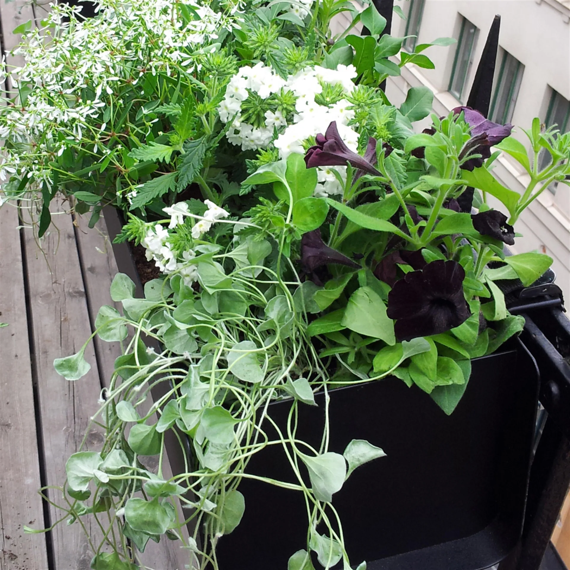 Jorda window box, 黑色_60cm SMD Design