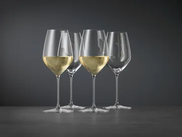 HI-LITE通用酒杯 480ml 2件装 - 透明 - Spiegelau