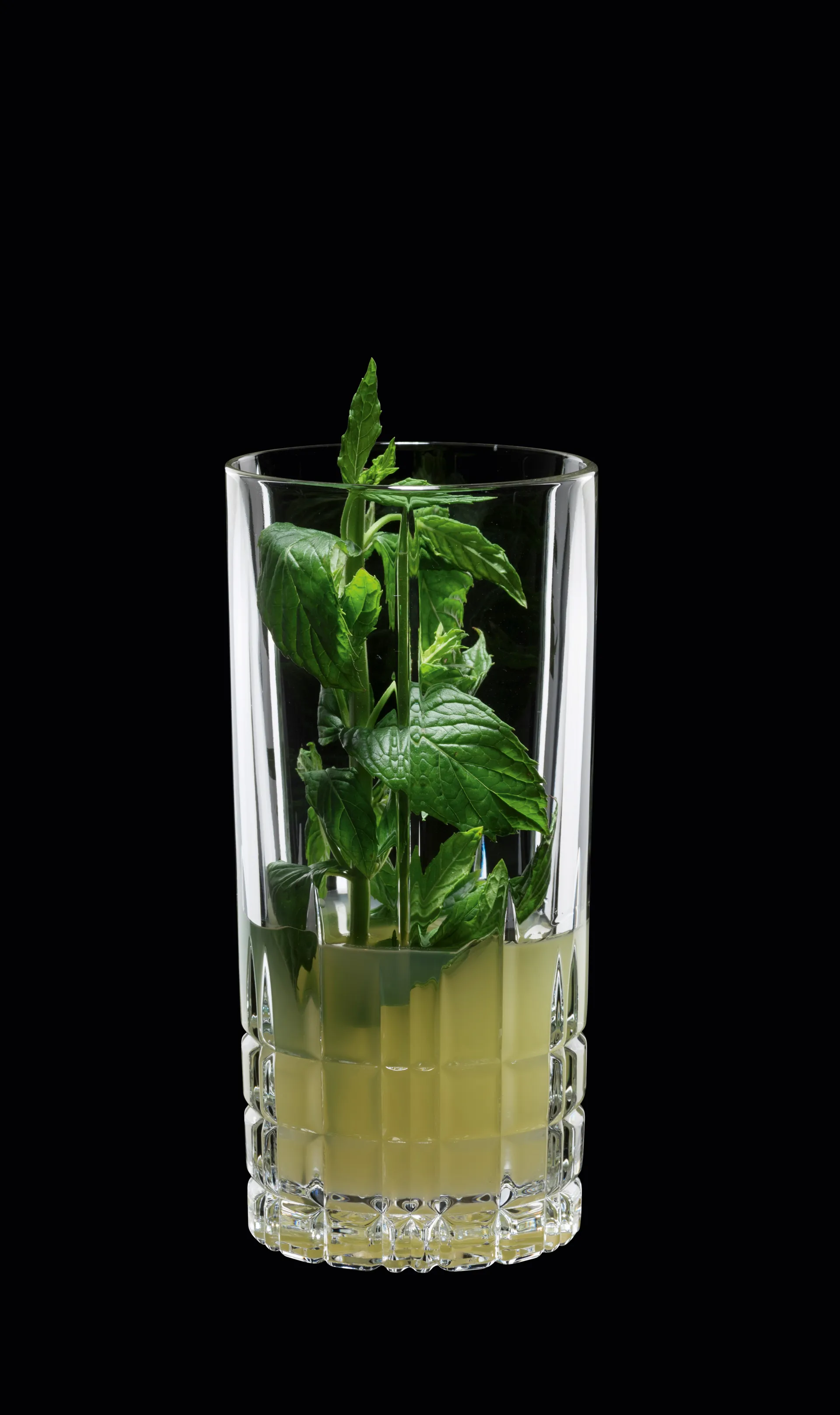 Perfect Serve Long drink glass 35cl . 四件套装, clear Spiegelau