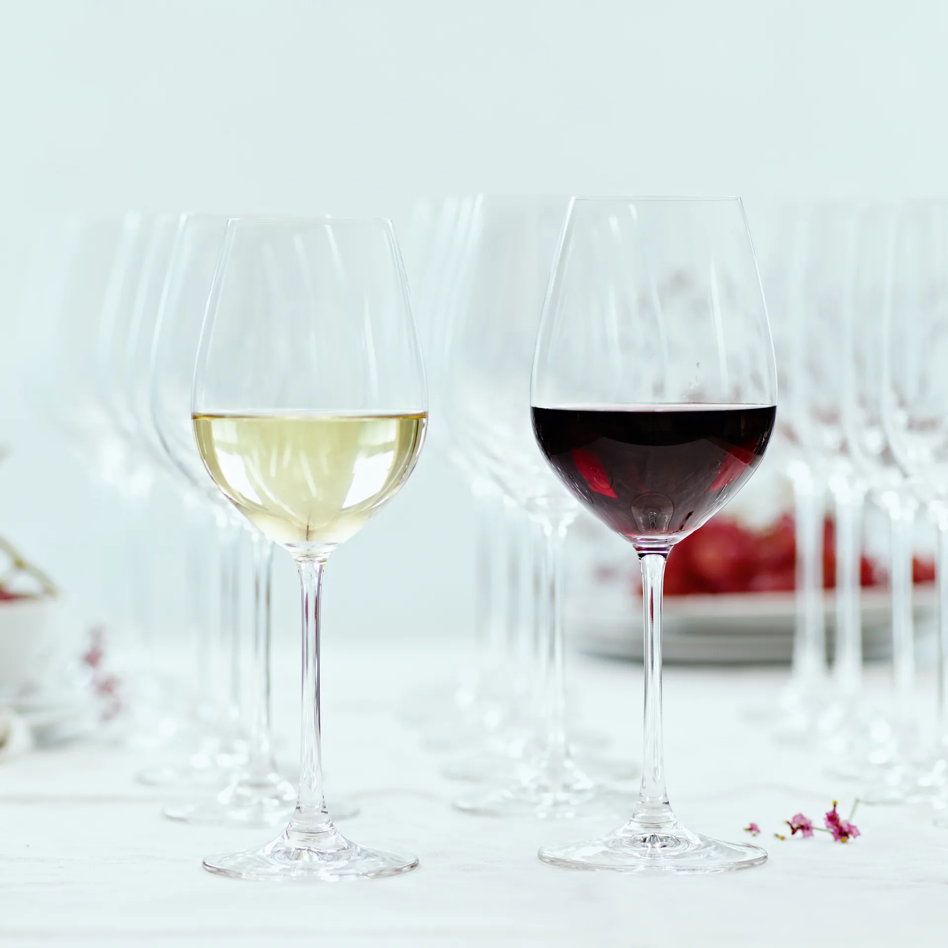 Salute White 红酒杯 47cl. 四件套装, clear Spiegelau