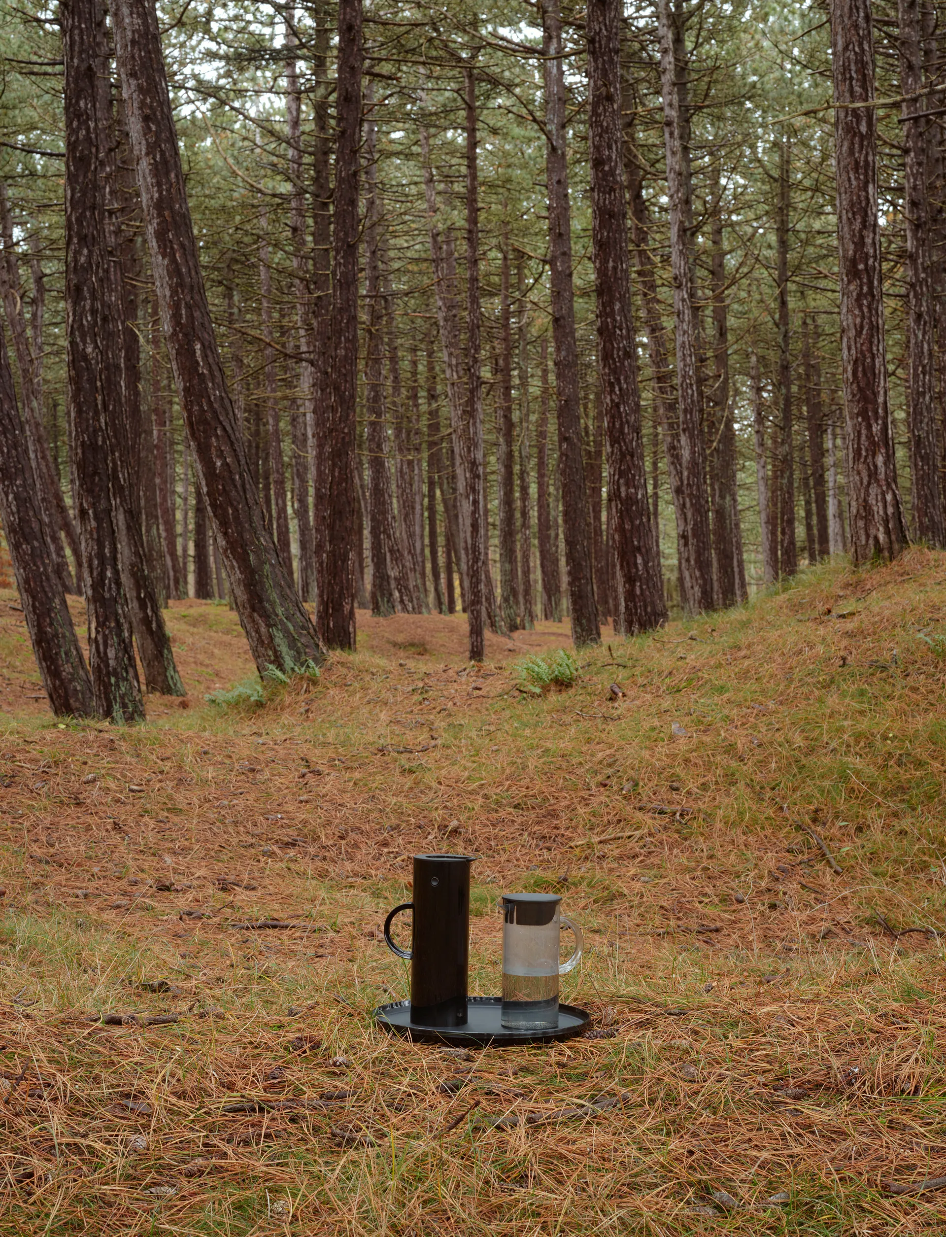 EM77 带盖壶1.5升, 烟灰色 Stelton