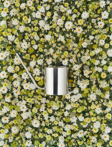 Original watering can 1.7 l - 不锈钢 - Stelton