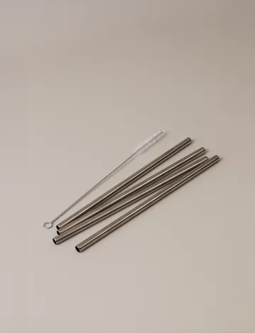 Stelton可重复使用吸管 4件装 - 钢色 - Stelton