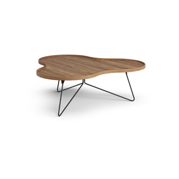 Flower mono北欧风格特别版餐桌107x114cm - H39cm-漆面胡桃木-black lacquered steel - Swedese