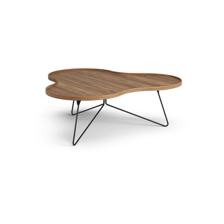 Flower mono北欧风格特别版餐桌107x114cm - H39cm-漆面胡桃木-black lacquered steel - Swedese