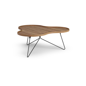Flower mono北欧风格特别版餐桌107x114cm - H45cm-漆面胡桃木-black lacquered steel - Swedese