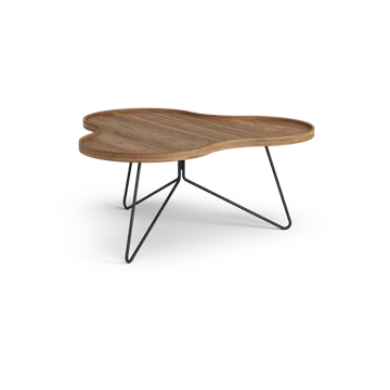Flower mono北欧风格特别版餐桌84x90cm - H39cm-漆面胡桃木-black lacquered steel - Swedese