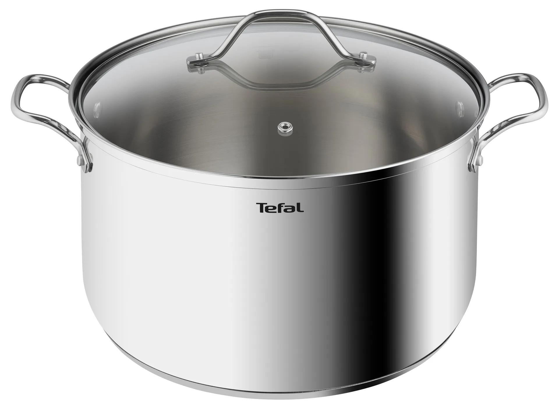 Intuition pot 30 cm 10 l, 不锈钢 Tefal