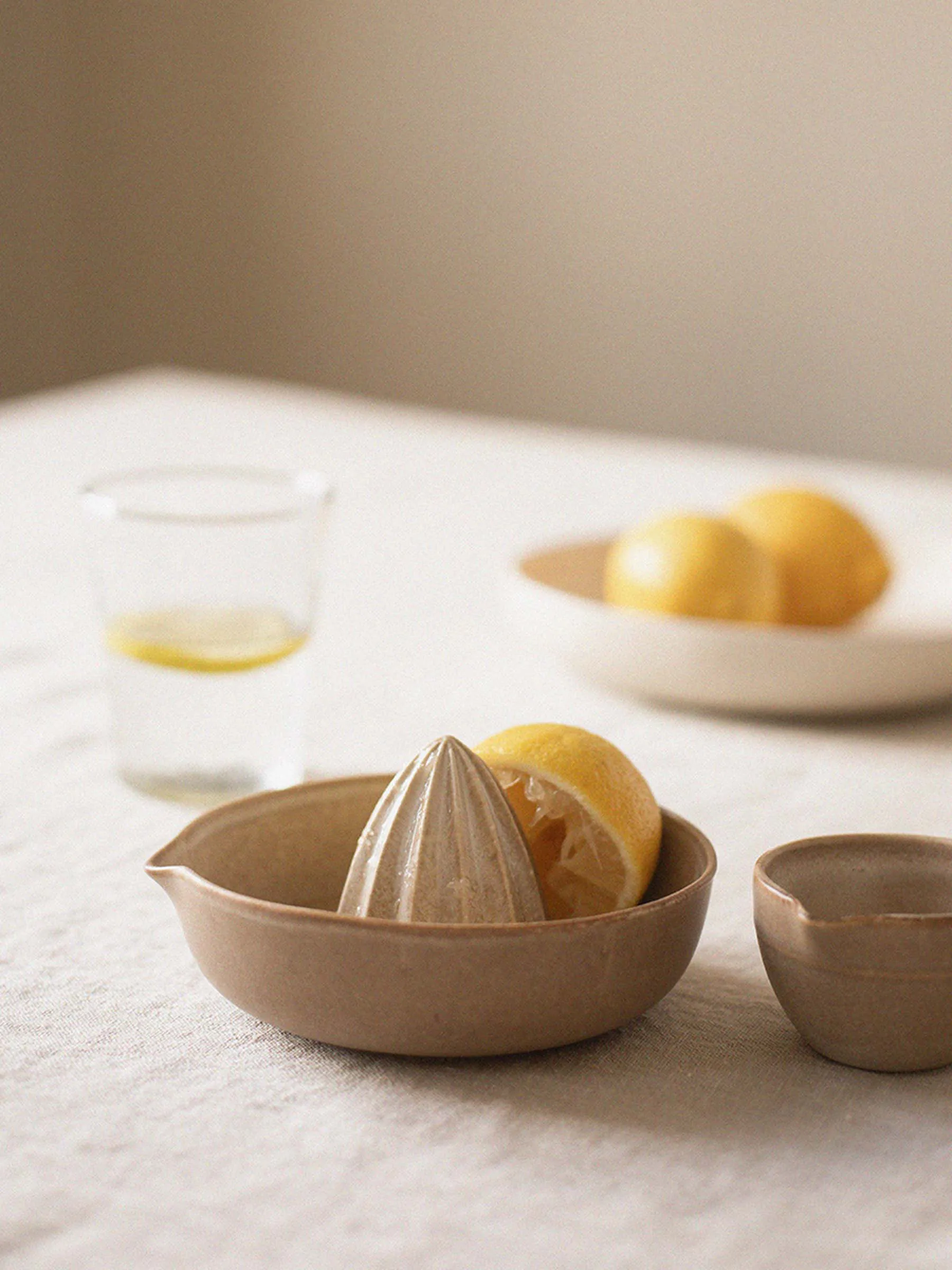 Palermo citrus juicer, 米色 Tell Me More