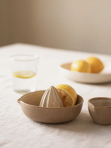 Palermo citrus juicer - 米色 - Tell Me More