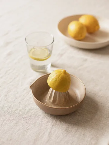 Palermo citrus juicer - 米色 - Tell Me More