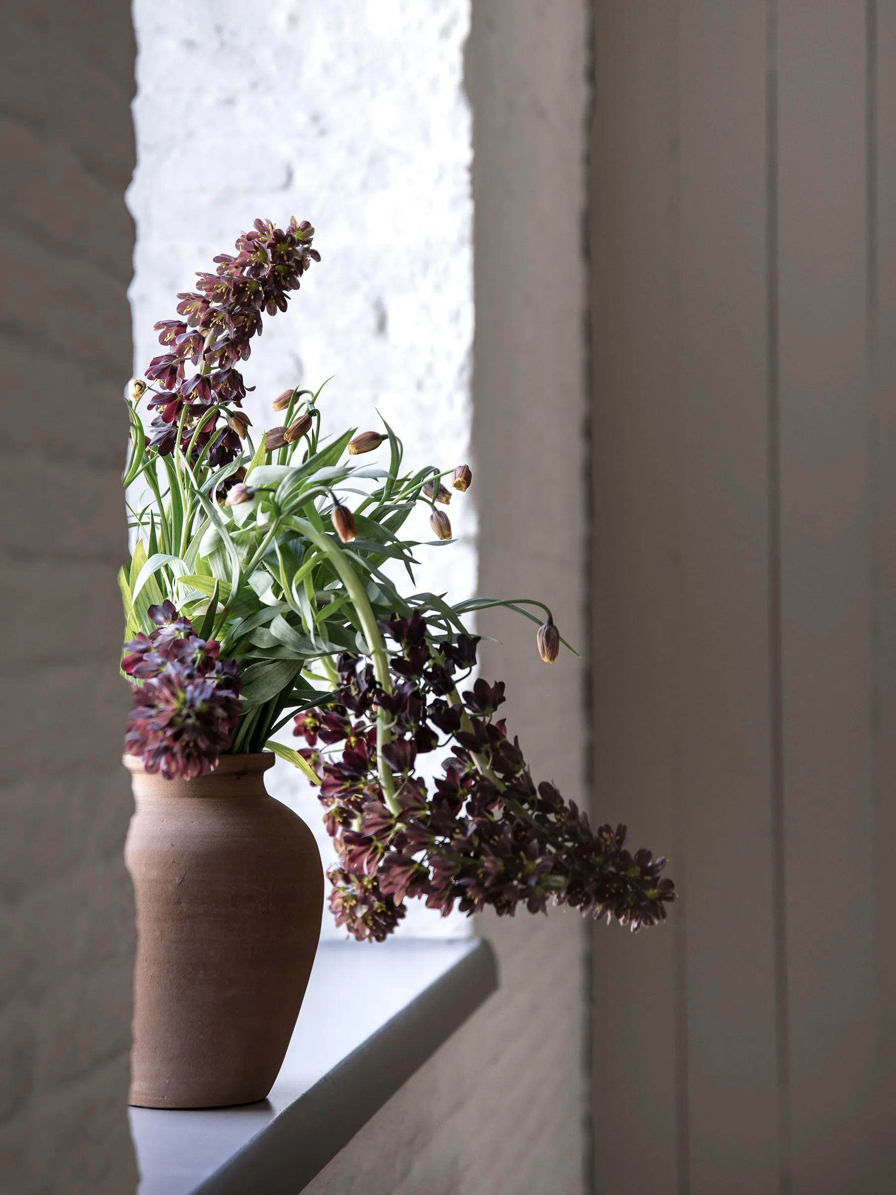 Terracina urn 中 26 cm, Terracotta Tell Me More