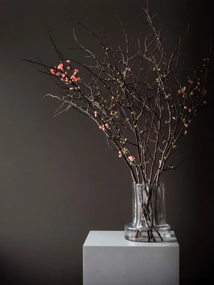 Vienna 花瓶25cm, 透明色 Tell Me More