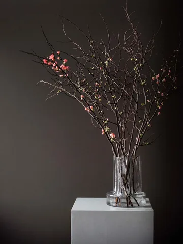 Vienna 花瓶25cm - 透明色 - Tell Me More