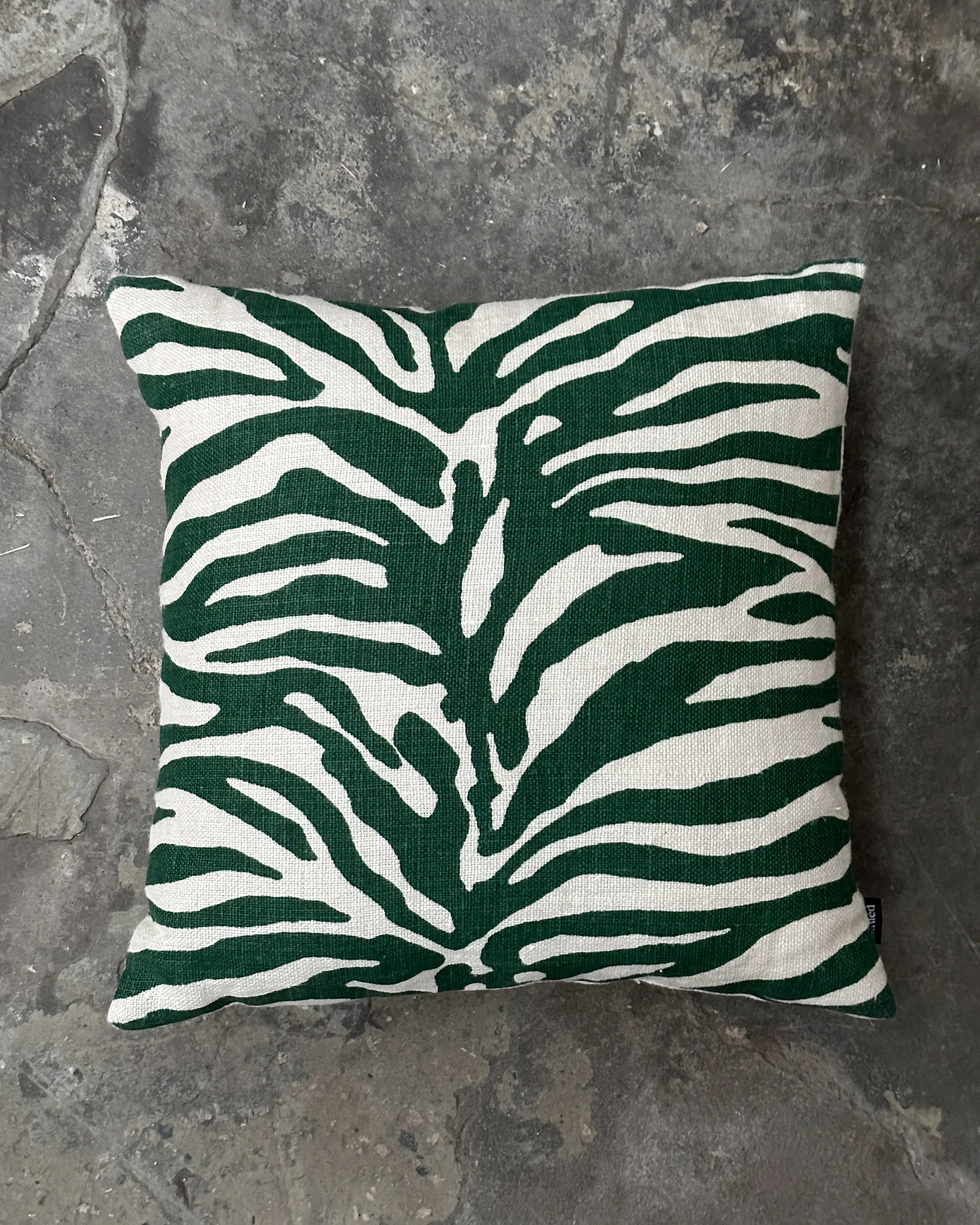 Karlberg 北欧风格装饰抱枕靠垫50x50cm, 绿色 Tinted
