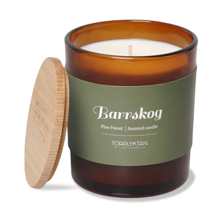 Northern woods 香薰蜡烛 310 g - Pine Forest - Torplyktan