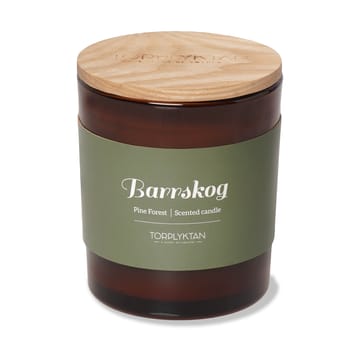 Northern woods 香薰蜡烛 310 g - Pine Forest - Torplyktan